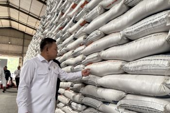 Cek stok beras, Penasihat presiden tinjau Gudang Bulog DKI Banten