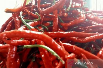 Pemkot Bengkulu pastikan harga bahan pangan stabil jelang Natal dan Tahun Baru 2026