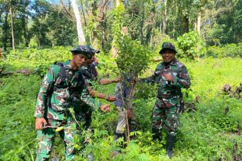 Ribuan pohon di tanam di kawasan hutan Kadindi Dompu