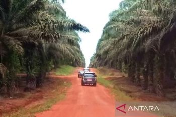 Polres Kotim jelaskan kronologis penembakan empat warga di Desa Kenyala