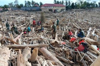 Kemenhut percepat pembersihan kayu limbah dan material lumpur di daerah terdampak banjir Sumatera