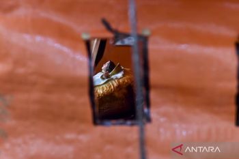 Natal, tahun baru, dan kebersamaan di saat sulit