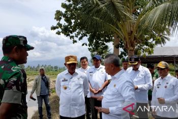 Lokasi lahan cetak sawah baru di Sigi siap tanam