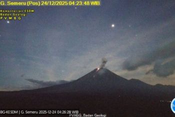 Semeru erupsi disertai letusan setinggi 900 meter dan suara gemuruh