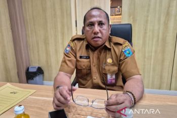 Papua Barat rehabilitasi 12 hektare mangrove di enam kabupaten kurangi risiko abrasi