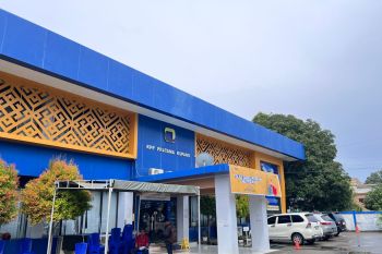 Realisasi penerimaan pajak di NTT mencapai Rp2,005 triliun per November 2025