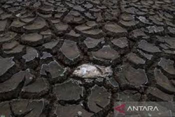 Iran di Ambang Bencana: Krisis Air Kian Mengkhawatirkan