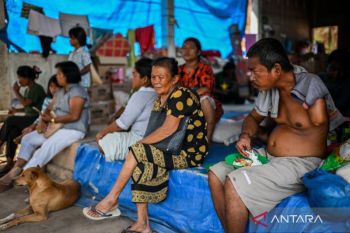 Peneliti: Faktor sosial dan lingkungan penting bagi pemulihan usai bencana