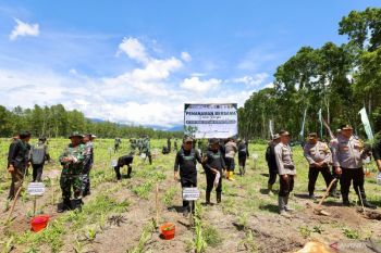 Wabup Banyuwangi: Reforestasi hutan penting jaga keberlanjutan ekologi