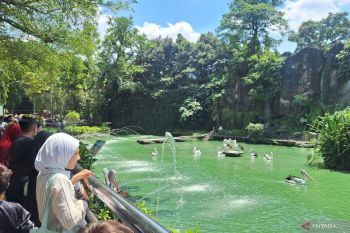 Ragunan tambah jam operasional selama Nataru