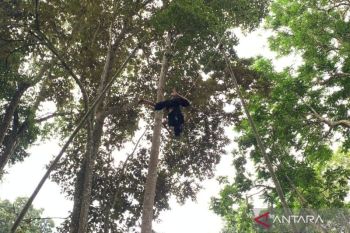 Atraksi lais tampil memukau pada kegiatan Pameran Foto Sakakala di Ciamis