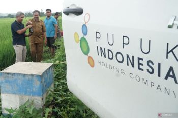 Membaca tanah, merawat masa depan sawah