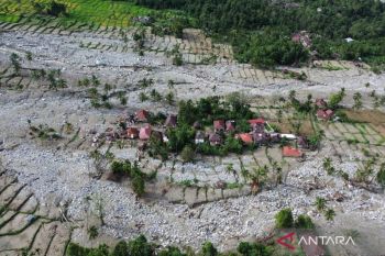 Bencana, negara, dan ujian rasionalitas kebijakan