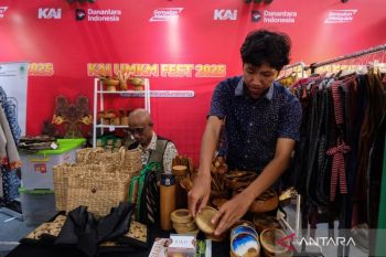 UMKM Go Global: Optimalisasi E-Commerce lintas negara