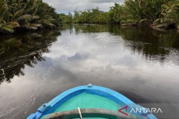 Memahami hutan, menyayangi ibu dan menyelamatkan kehidupan