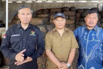 Legislator Jambi dorong kayu manis dan pinang jadi komoditas strategis nasional