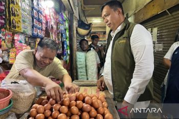 PIHPS catat harga cabai rawit merah Rp73.950/kg, telur ayam Rp33.450/kg
