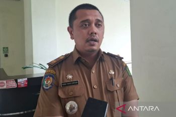 Pemkab Rejang Lebong kampanyekan gerakan penanaman pohon