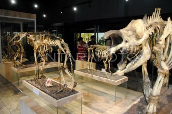 Wisata Museum Zoologi dan Kebun Raya Bogor