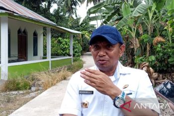 Anggaran cetak sawah baru di Sulteng tahun 2025 capai Rp356 miliar