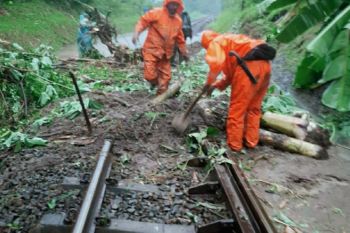 Sejumlah perjalanan kereta terganggu akibat genangan air di petak jalan Purwakarta-Ciganea