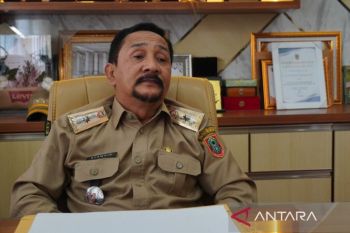 Produksi padi Kalsel lampaui target nasional pada 2025