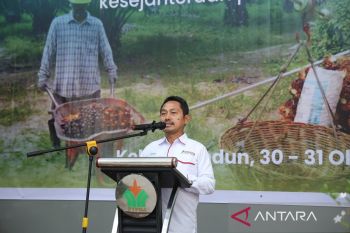 Aspekpir: Pola Single Management Untungkan Petani Mitra