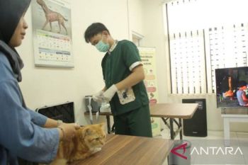 Sepanjang 2025, DKP Tangerang berikan pengobatan gratis 4.032 hewan