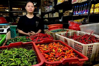 PIHPS: Harga cabai dan telur masih tinggi di tingkat eceran