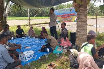 Pemkab: Penyaluran dana desa capai 100 persen di Pasaman Barat