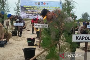 Polda Bangka Belitung tanam 5.000 bibit cemara dan kayu putih di lahan kritis