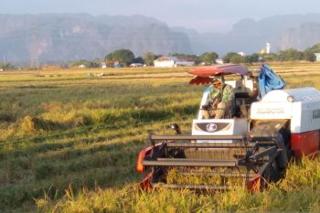 Penguatan layanan pupuk bersubsidi topang produktivitas dan  ketahanan pangan Sulsel