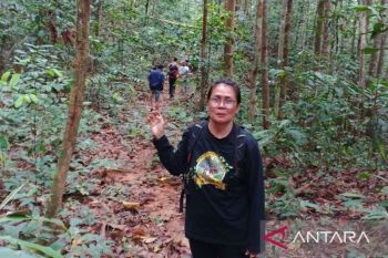 Napas panjang Yuliana Wetuq bersama tujuh penjaga Hutan Wehea