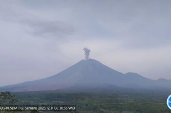 Gunung Semeru erupsi 3 kali Rabu pagi, tinggi letusan capai 900 meter