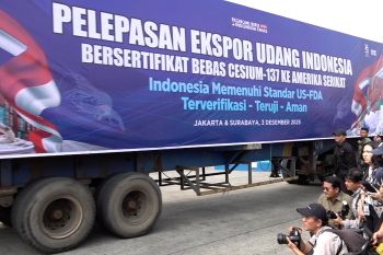 Indonesia ekspor 182 ton produk udang bebas Cesium-137 ke AS