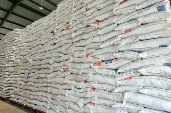 Bulog pastikan stok beras Serang-Cilegon aman hingga Lebaran 2026