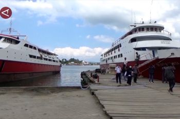 Diskon 20 persen, Pelni siapkan tiga kapal liburan Nataru di Sultra