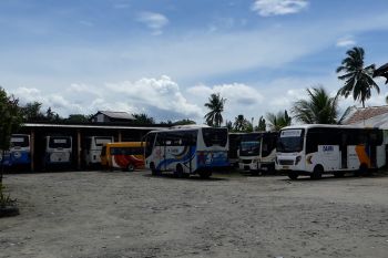 BPTD Maluku siapkan 24 bus DAMRI layani mudik Natal dan Tahun Baru