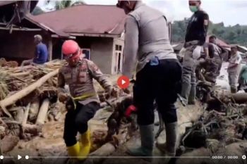 Ini temuan awal pembalakan liar pemicu banjir Sumatera - VIDEO