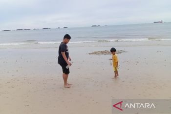 BMKG sebut pasang laut di Kaltim setinggi hingga 3,1 meter berpotensi rusak tambak