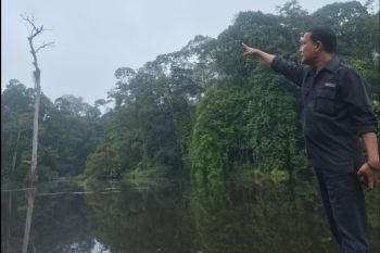 Hutan Harapan potensi jadi 'Laboratoriun Akademik' wilayah Sumatra
