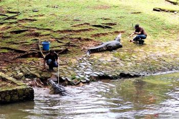 Puncak pengunjung Ragunan diperkirakan  capai 100 ribu pada 1 Januari 2026