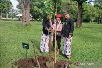 Pengunjung pertama ke Candi Borobudur tahun 2026 dapat suvenir dan tanam pohon
