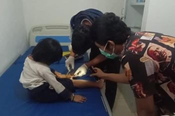 Relawan SRI catat 62 warga Badui jadi korban gigitan ular