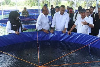 Menteri KKP kunjungi budi daya tematik ikan lele di Kabupaten Madiun