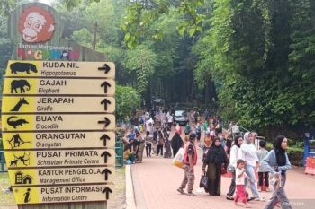 Pengelola Ragunan prioritaskan penambahan petunjuk arah kandang satwa