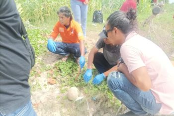 Polisi selidiki temuan tengkorak kepala di kawasan Pantai Hu'u Dompu