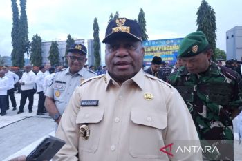 Pemprov Papua perkuat ketahanan pangan cetak 5.380 hektare sawah pada 2026