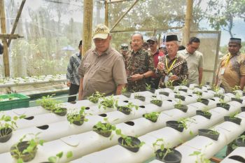 Girikerto Sleman mengembangkan taman ketahanan pangan "Semar Ndalil"
