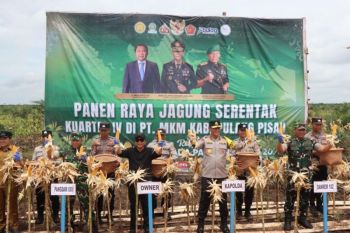 Polda Kalteng panen 42.590 ton jagung selama 2025